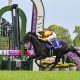 Tenno Sho