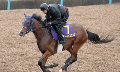 Tokyo Yushun