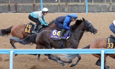 Yasuda Kinen
