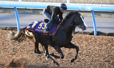 Tenno Sho