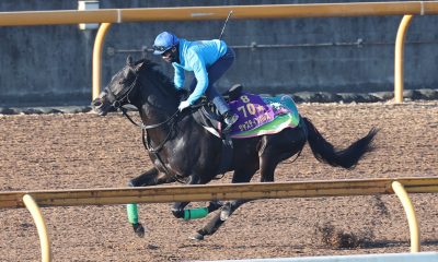 Arima Kinen