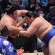 Spring Basho