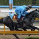 Oka Sho