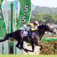 NHK Mile Cup