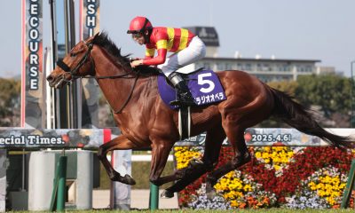 Osaka Hai